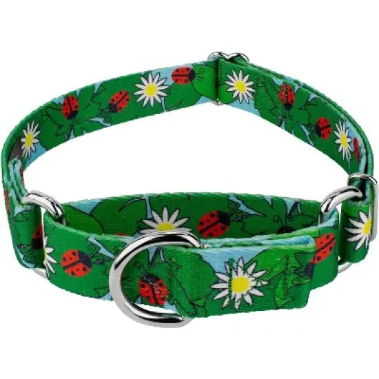 Country Brook Petz - Ladybug Picnic Martingale Dog Collar image {4}