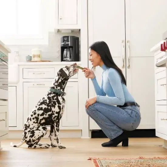 Greenies Regular Original Chicken Dental Dog Treats image {4}