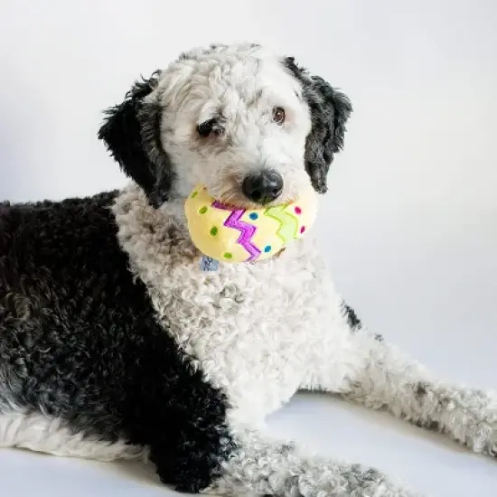 Midlee Plush Easter Egg Dog Toy with Squeaker (Yellow)-Large image {2}