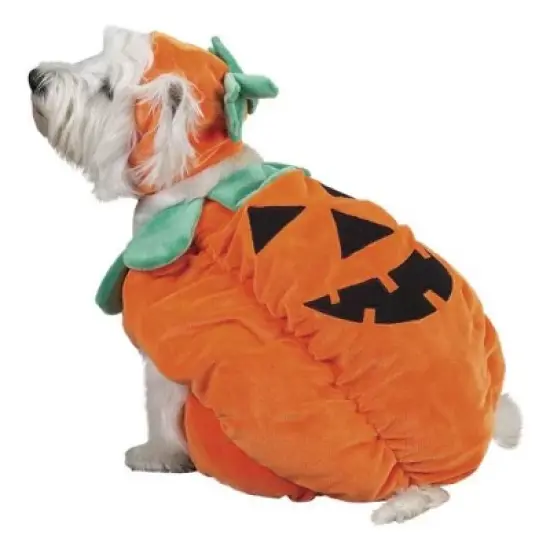 Zack & Zoey Pumpkin Pooch Dog Costume image {8}