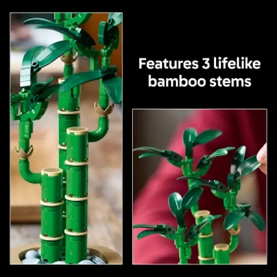 LEGO Botanicals Lucky Bamboo Building Set for Adults, Decor for Home or Office 10344 image {3}
