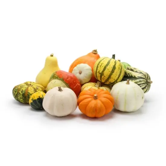 Mixed Ornamental Gourds - 5ct image {4}