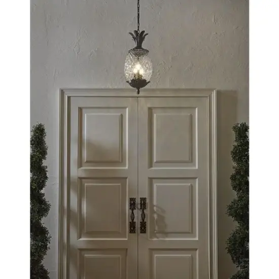 Acclaim Lighting Lanai 3 - Light Pendant in  Black image {2}
