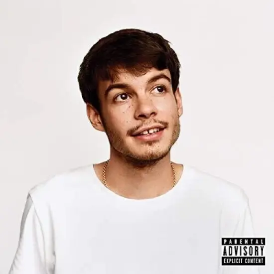 Rex Orange County - Pony image {2}