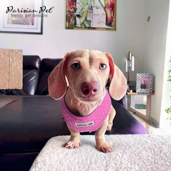 Parisian Pet 'Pink Dot Harness' for Dogs & Cats &ndash; Adjustable, Comfortable Pink Polka Dot Dog Harness, Stylish Fit for Small Pets image {1}