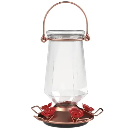 Perky-Pet Hummingbird 28 oz Glass/Metal/Plastic Nectar Feeder 5 ports (Case of 2) image {1}