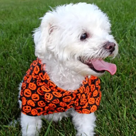 Doggie Design Halloween Jack-O-Lantern Camp Shirts image {3}