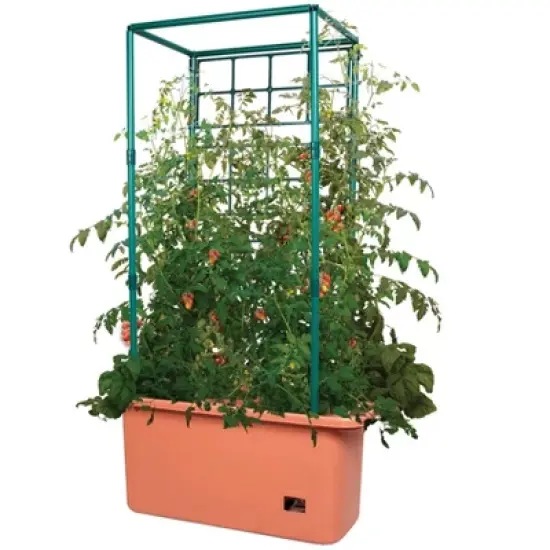 Hydrofarm GCTR 10 Gal Tomato Trellis Self Watering Grow System (2 Pack) image {2}
