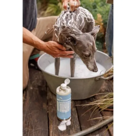 Dr. Bronner's 18-In-1 Hemp Baby Pure Castile Liquid Soap - Unscented - 32 fl oz image {4}