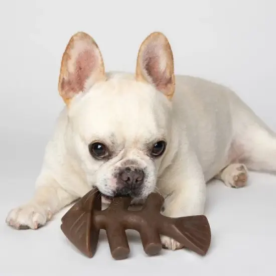 Benebone Fishbone Dog Chew Toy - Fish - M image {4}