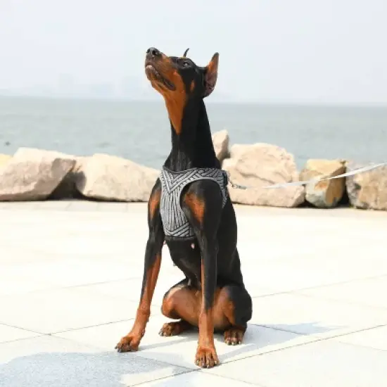 PETKIT Air Fly Harness Dog and Cat image {3}