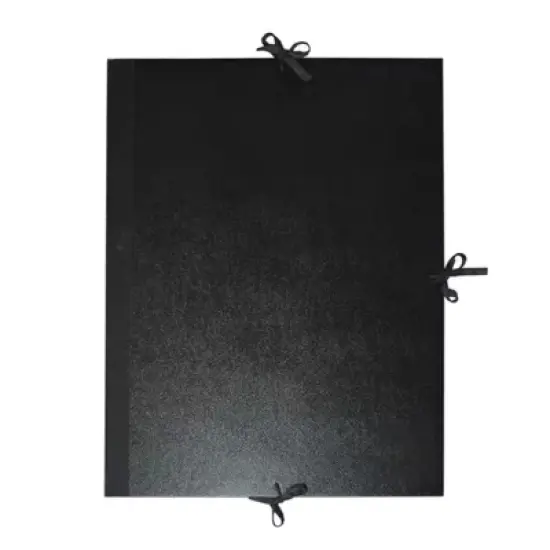 Daler-Rowney Cachet Classic Portfolio with Flaps, 23" x 31" image {1}