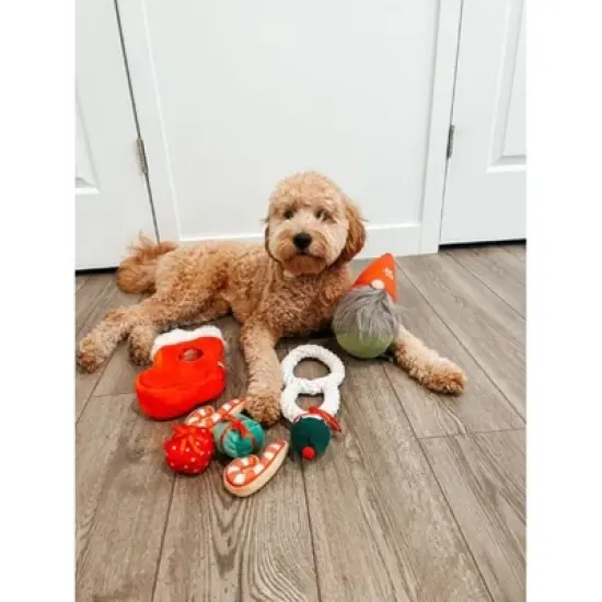 Midlee Gnome Hidden Ball Christmas Dog Toy image {3}