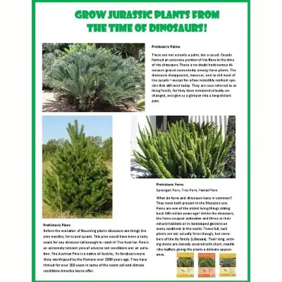 Toys By Nature: Dinosaur Domain - DIY Terrarium Kit, Prehistoric Plants & T-Rex image {6}