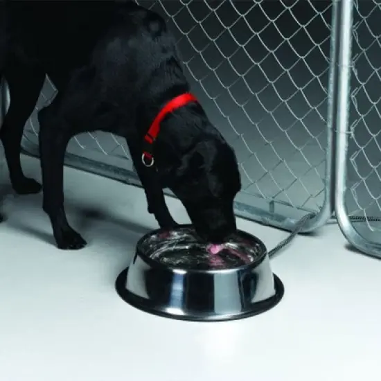 API 5 Quart Stainless Steel Thermostatically Controlled Nestable Heated Pet Bowl with Non-Tip Design and 6 Foot Anti-Chew Cord, Silver image {3}