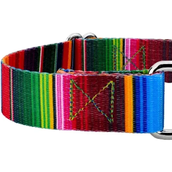 Country Brook Petz Serape Martingale Dog Collar image {3}