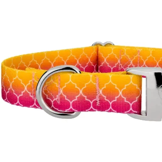 Country Brook Petz Premium Fabulous Ombre Dog Collar image {3}