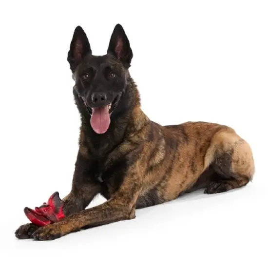 BARK Afraid of the Bark Halloween Brawning Bat Interactive Dog Toy image {2}