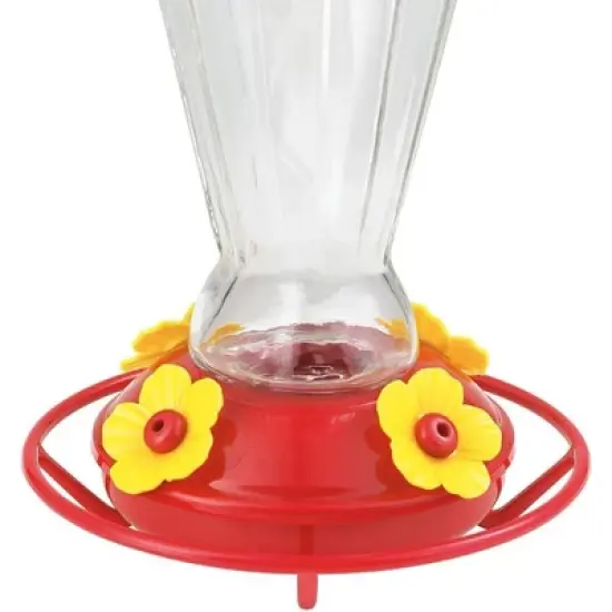 More Birds Royal Glass Hummingbird Feeder -  Red/Clear (28 Ounce) image {1}