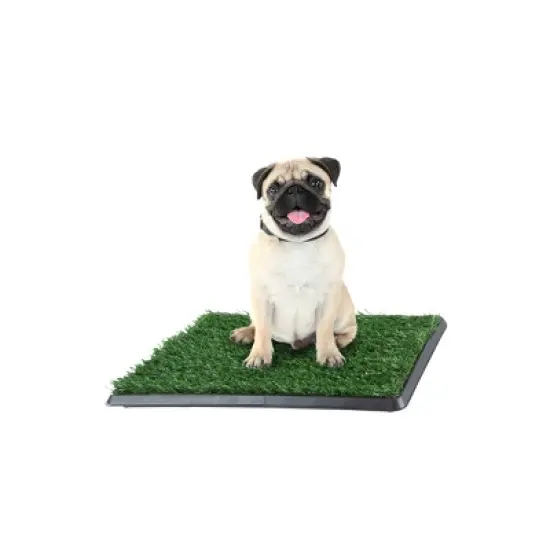 Pet Adobe Small Puppy Faux Grass Potty Trainer Mat - 16" x 20" image {9}