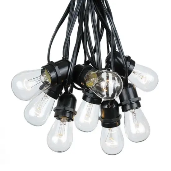 Novelty Lights Edison Outdoor String Lights with 25 In-Line Sockets Black Wire 37.5 Feet image {6}