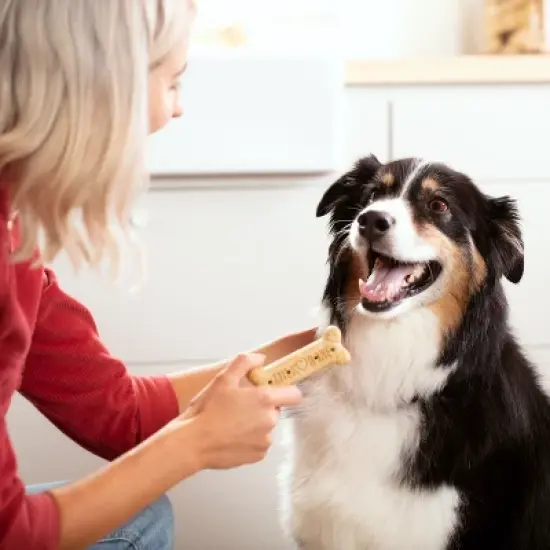 Milk-Bone Beef Biscuits Large Dog Treats image {1}