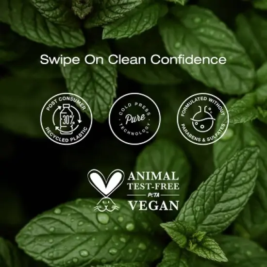 Raw Sugar Simply Deo Solid Deodorant - Eucalyptus + Fresh Mint - 2.7oz image {3}