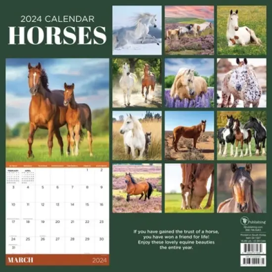 TF Publishing 2024 Wall Calendar 12"x12" Horses image {4}