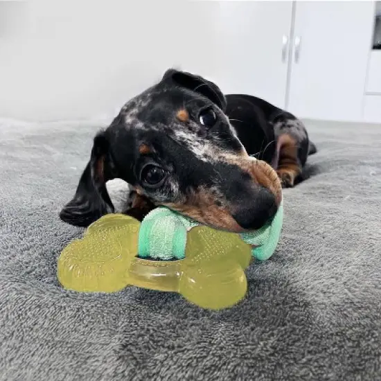 Nylabone Puppy Chew Freezer Bone Toy - Bacon image {3}