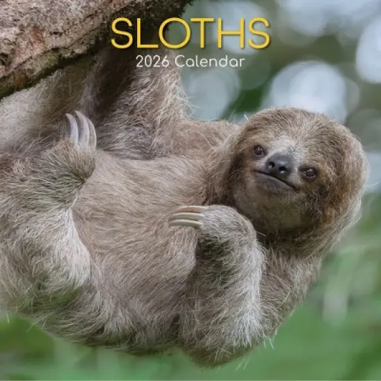 2026 Square Wall Calendar, Sloths, 16-Month Animals Theme with 180 Reminder Stickers (12x12 In) image {4}