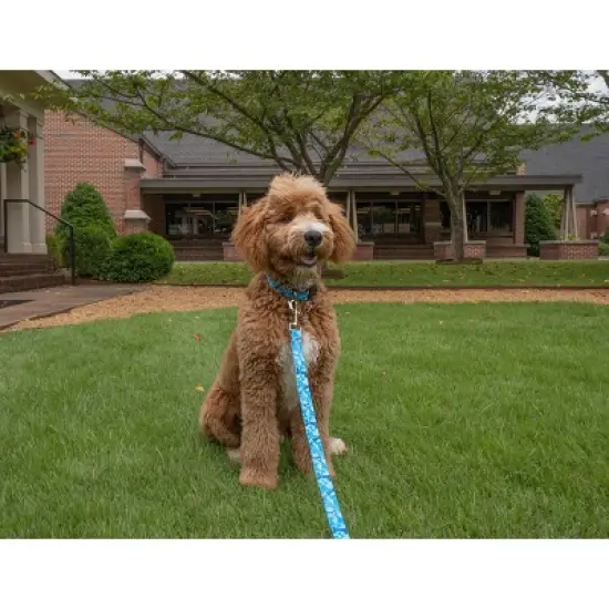 Country Brook Petz Deluxe Dog Collar - Camouflage Collection - Made in The U.S.A. image {3}