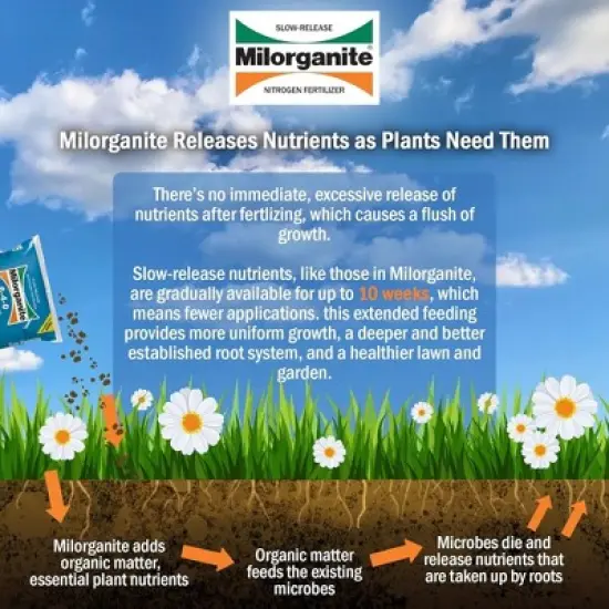 Milorganite All-Purpose Eco-Friendly Slow-Release Nitrogen Fertilizer 6-4-0 image {2}