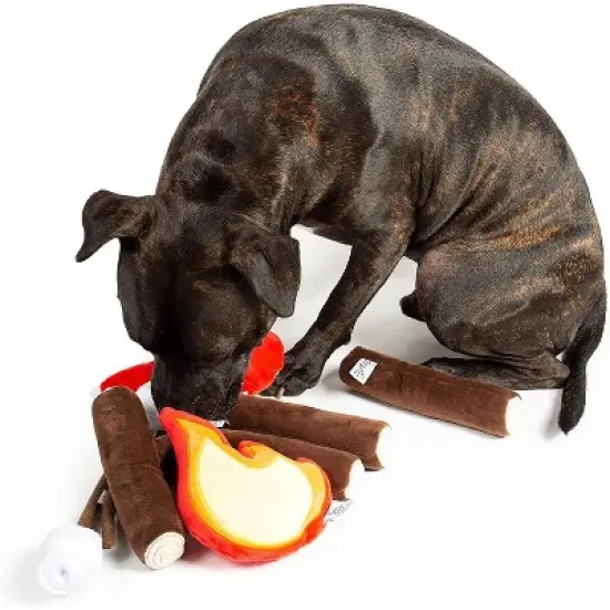Midlee Campfire Dog Toy image {1}