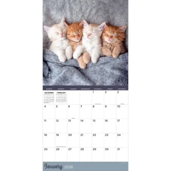 TF Publishing 13.5"x14.5" 2026 Cat Dreams Wall Calendar image {5}