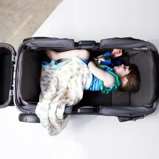 Gladly Family Anthem4 Baby Wagon Stroller - Adventure Bundle Graphite image {6}