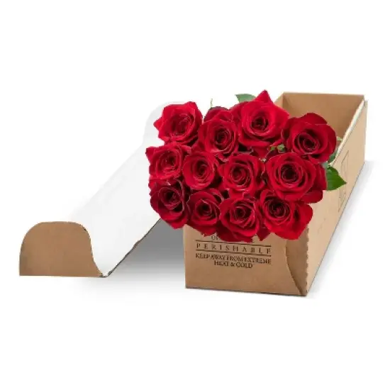 Dozen Fresh Cut Red Roses with Vase image {3}