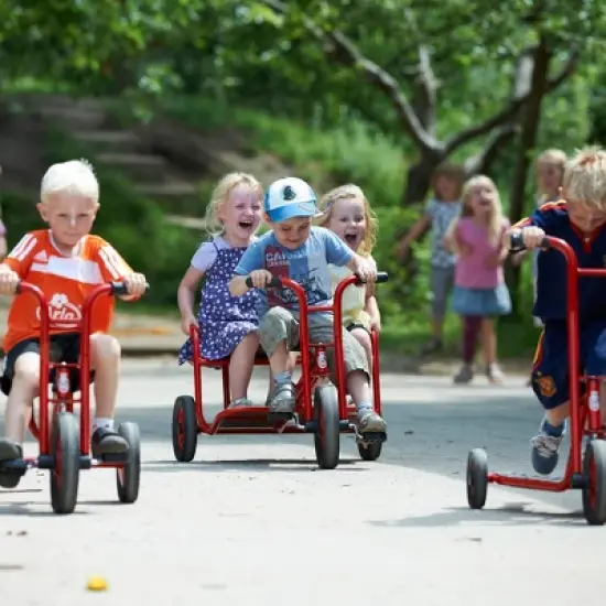 Winther Viking Twin Taxi Tricycle image {6}