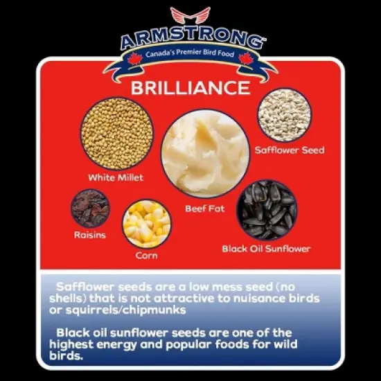 Armstrong Wild Bird Food Royal Jubilee Brilliance Suet Cake, 10.6oz (Pack of 3) image {3}