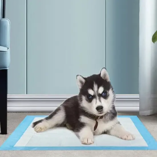 Swtroom Puppy Pee Pads Dog Pad Pee Potty Training Disposable Pad 22" x 22" 100 Pcs image {4}