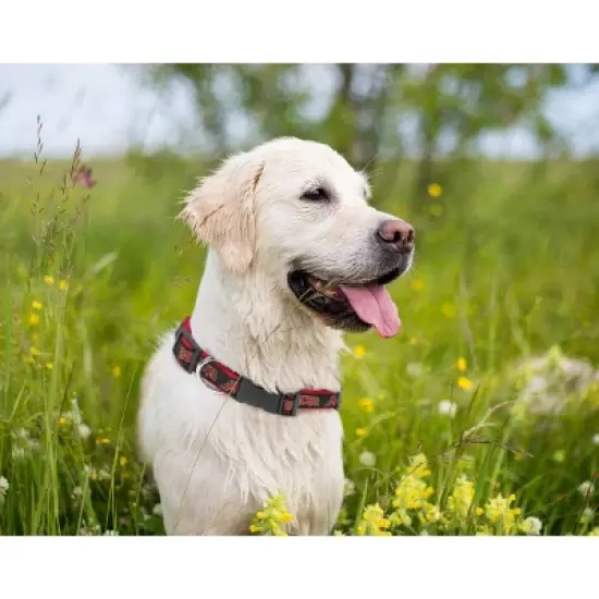 MLB Pets First Collar image {2}