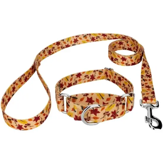 Country Brook Petz Fall Foliage Martingale Dog Collar and Leash image {5}