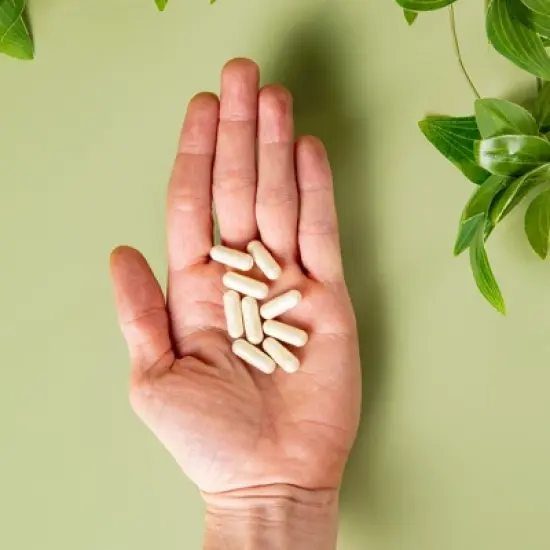 Apigenin Capsules 50mg, Sleep, Cognitive & Prostate Health Support Supplement, Chamomile Flavonoid for Relaxation, Havasu Nutrition, 60ct image {4}