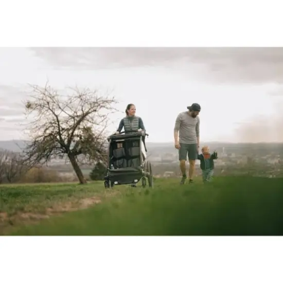 Burley D'Lite X Double Kids' Bike Trailer image {11}