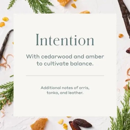 Room Spray Intention 3.38 fl oz - Casaluna&trade; image {4}