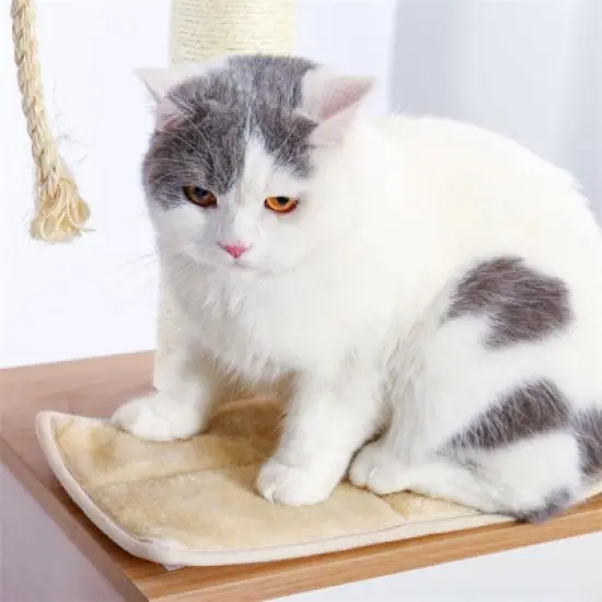 Modern Cat Tree Tower for Indoor Cats with Hammock image {10}