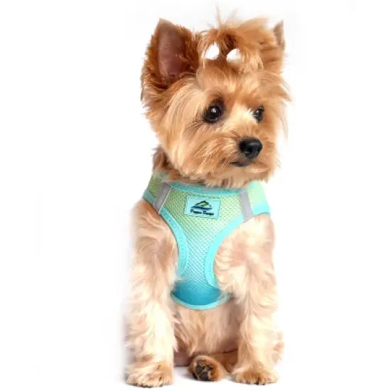 Doggie Design American River Choke Free Dog Harness Ombre Collection-Aruba Blue image {4}