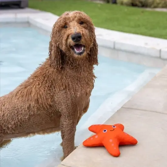 PetShop by Fringe Studio Shelly Floating Dog Interactive Toy image {3}