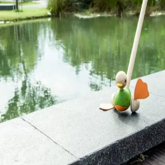 Plantoys| Push Along Duck image {5}