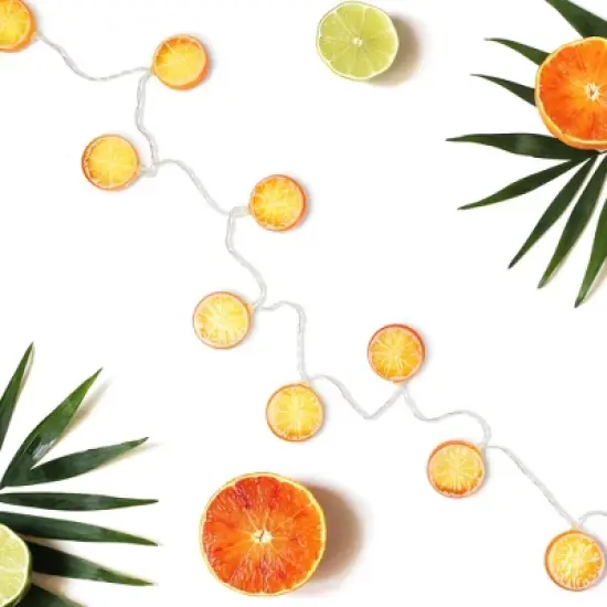 Northlight LED Orange Slice Indoor Outdoor Patio Light Set - 4.5' Clear Wire - 10ct image {3}