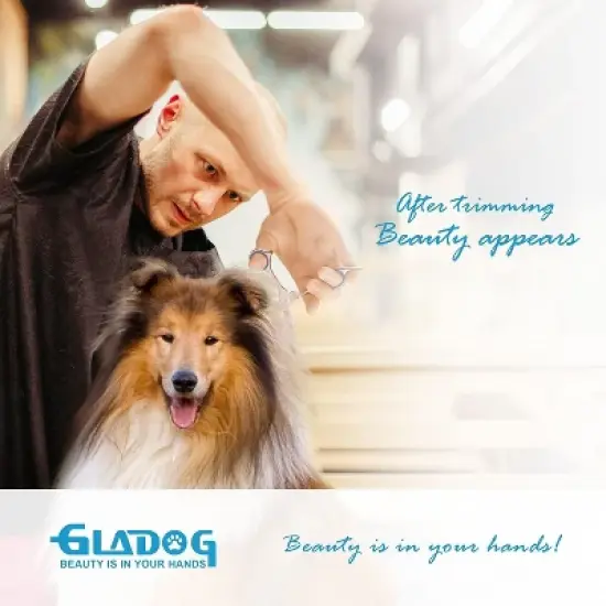 Professional 5 in 1 Dog Grooming Scissors Set , Sharp and Heavy-duty Pet Grooming Shears image {5}